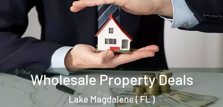  Wholesale Property Deals Lake Magdalene ( FL )