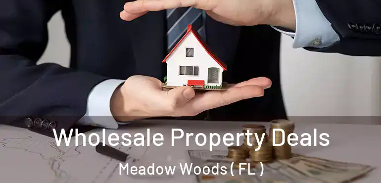  Wholesale Property Deals Meadow Woods ( FL )