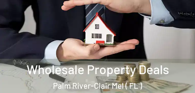  Wholesale Property Deals Palm River-Clair Mel ( FL )