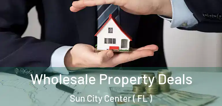  Wholesale Property Deals Sun City Center ( FL )