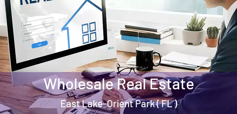  Wholesale Real Estate East Lake-Orient Park ( FL )