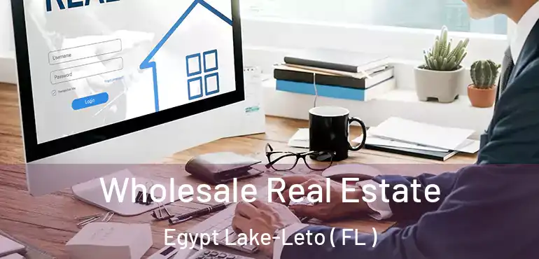  Wholesale Real Estate Egypt Lake-Leto ( FL )