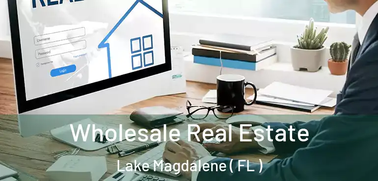  Wholesale Real Estate Lake Magdalene ( FL )