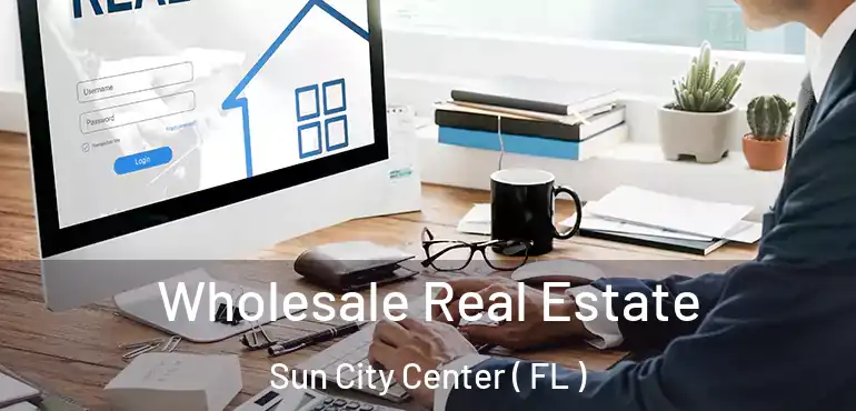  Wholesale Real Estate Sun City Center ( FL )