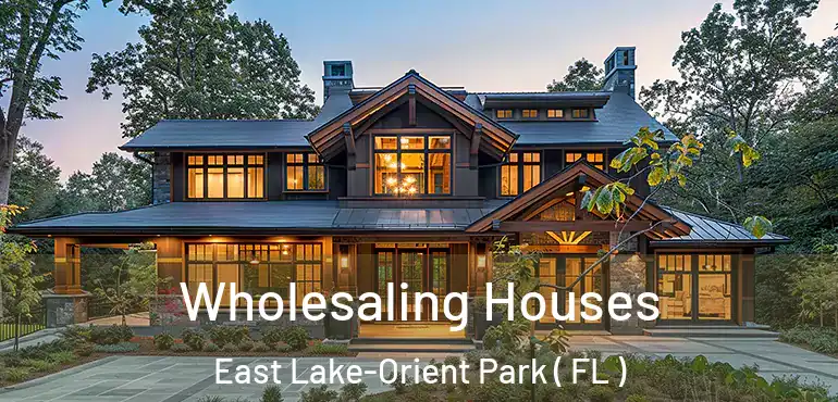  Wholesaling Houses East Lake-Orient Park ( FL )